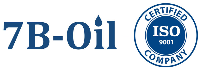 UNI EN ISO 9001:2015 - Seven B-Oil